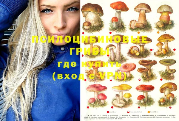 марки nbome Михайловск