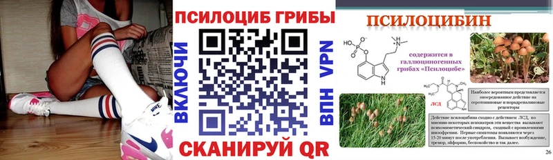 hydra tor  Брянск  Псилоцибиновые грибы GOLDEN TEACHER 