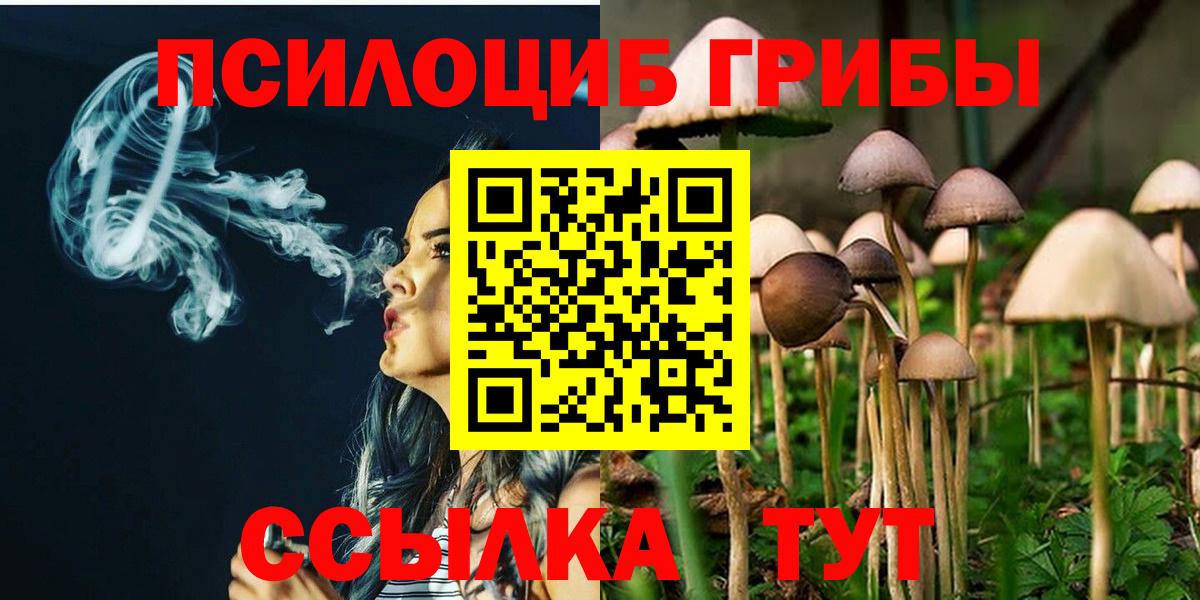 сколько стоит  Брянск  Галлюциногенные грибы GOLDEN TEACHER 