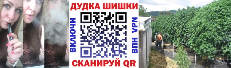 darknet какой сайт Брянск Канабис White Widow